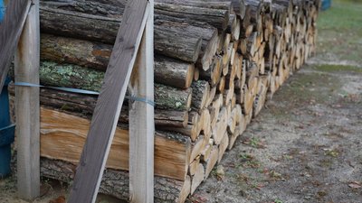 “Вартість газу і дров різниться”: яка ціна дров на Сумщині “Вартість газу і дров різниться”: яка ціна дров на Сумщині