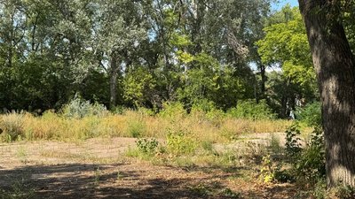 У Кропивницькому призупинили розгляд справи щодо лісопарку «Никанорівський» У Кропивницькому призупинили розгляд справи щодо лісопарку «Никанорівський»
