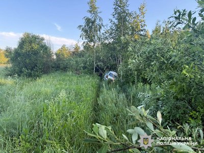 На Житомирщині лось загинув після зіткнення з автомобілем, пасажирку госпіталізували На Житомирщині лось загинув після зіткнення з автомобілем, пасажирку госпіталізували