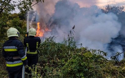 Через пожежі сухостою горять будівлі: на Черкащині за добу сталися 11 пожеж