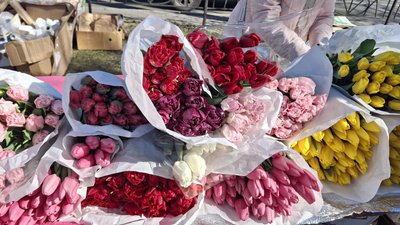 Тюльпани, троянди, нарциси: як у Черкасах працює квітковий ярмарок