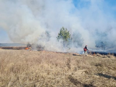 "Якби не втрутилися, полум'я могло дістатися будинків" — місцеві жителі села на Житомирщині "Якби не втрутилися, полум'я могло дістатися будинків" — місцеві жителі села на Житомирщині