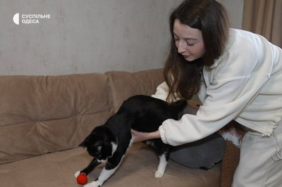 "Ізюмчик зовсім не може встати": на Одещині живе кіт з інвалідністю "Ізюмчик зовсім не може встати": на Одещині живе кіт з інвалідністю