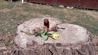 "Тільки оголошують тривогу, а в тебе мурахи по тілу". Рік після ракетного удару по дев’ятиповерхівці у Кривому Розі "Тільки оголошують тривогу, а в тебе мурахи по тілу". Рік після ракетного удару по дев’ятиповерхівці у Кривому Розі