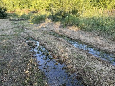Підтоплює городи, будівлі та дорогу: коли ліквідують порив водогону у Полтавській громаді Підтоплює городи, будівлі та дорогу: коли ліквідують порив водогону у Полтавській громаді