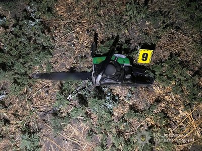 Знищив п'ять дубів і ясенів: на Одещині судитимуть нелегального лісоруба Знищив п'ять дубів і ясенів: на Одещині судитимуть нелегального лісоруба
