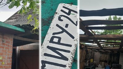 У громаді на Житомирщині вітер повалив дерева та позривав дахи будинків