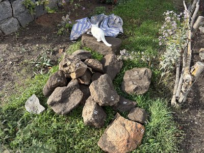 У Південноукраїнську реконструювали давній кромлех, знайдений на березі Південного Бугу У Південноукраїнську реконструювали давній кромлех, знайдений на березі Південного Бугу