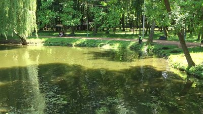 У парку зафіксували порушення утримання водойми У парку зафіксували порушення утримання водойми