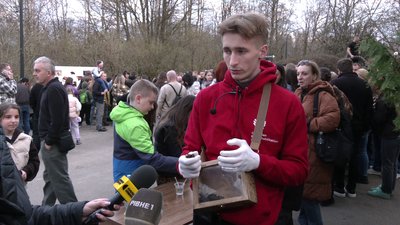 "Прийшли, щоб побороти страх": у Рівненському зоопарку випустили понад 200 кажанів