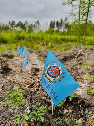 На Житомирщині поліцейські висадили понад три тисячі саджанців дерев На Житомирщині поліцейські висадили понад три тисячі саджанців дерев