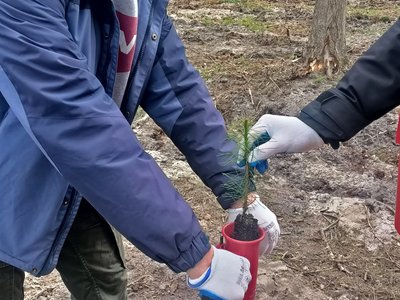 На Волині створюють "Ліс пам’яті" на честь загиблого воїна-лісівника На Волині створюють "Ліс пам’яті" на честь загиблого воїна-лісівника
