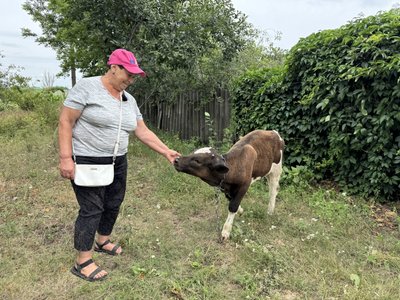 «Не можу віддати Красуню на м’ясо»: історія жительки прифронтової Степанівки «Не можу віддати Красуню на м’ясо»: історія жительки прифронтової Степанівки