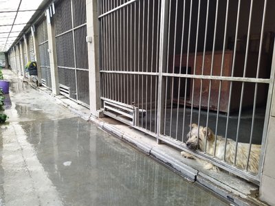 У Львові проведуть конкурс на посаду нового керівника ЛКП "Лев" У Львові проведуть конкурс на посаду нового керівника ЛКП "Лев"