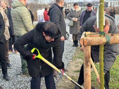 На Львівщині продовжують рекультивацію Грибовицького полігону: висаджено дерева та тисячі тюльпанів На Львівщині продовжують рекультивацію Грибовицького полігону: висаджено дерева та тисячі тюльпанів