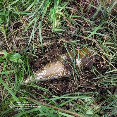 На будівництві в Києві виявили артилерійський снаряд На будівництві в Києві виявили артилерійський снаряд