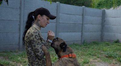 Господарів мобілізували — собака лишився посеред вулиці. У Дніпрі зооволонтерка прихистила стафордширського тер'єра Господарів мобілізували — собака лишився посеред вулиці. У Дніпрі зооволонтерка прихистила стафордширського тер'єра