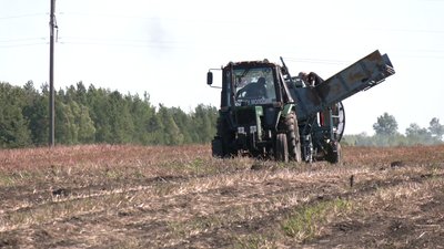 Жителі Хмельниччини з допомогою трактора збирають картоплю Жителі Хмельниччини з допомогою трактора збирають картоплю