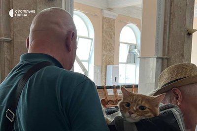 Переселенець з котом Переселенець з котом