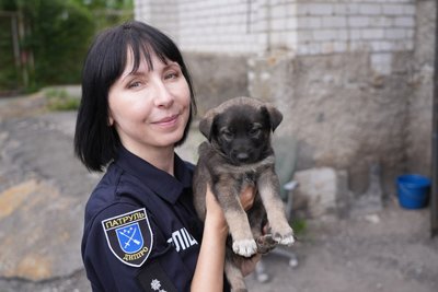 "Кожен патрульний смаколики привозить": восьмеро цуценят народилося на станції патрульної поліції Дніпропетровщини "Кожен патрульний смаколики привозить": восьмеро цуценят народилося на станції патрульної поліції Дніпропетровщини