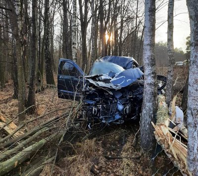 На Житомирщині в ДТП загинув водій — поліція розслідує обставини На Житомирщині в ДТП загинув водій — поліція розслідує обставини