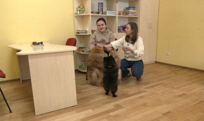 Ірина, реабілітаційний центр, собаки Ірина, реабілітаційний центр, собаки