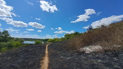 Вогонь дійшов до городів, почали горіти кущі та дерева. На Кіровоградщині побільшало пожеж сухої трави