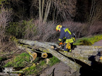 На Вінниччині через сильні пориви вітру падали дерева