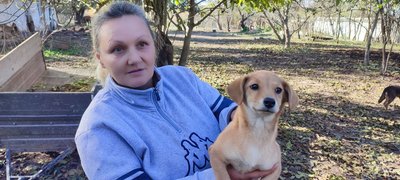 "Бик пасся — здох, три дні лежав на полі", — жителі села на Вінниччині скаржаться на сусідську худобу "Бик пасся — здох, три дні лежав на полі", — жителі села на Вінниччині скаржаться на сусідську худобу
