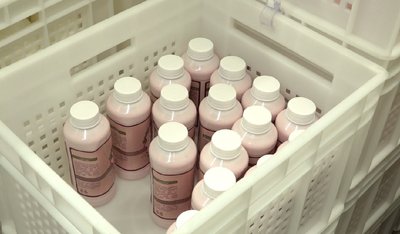 На Черкащині ціни на молоко впали на 20%: чому так сталось та якою буде ціна надалі На Черкащині ціни на молоко впали на 20%: чому так сталось та якою буде ціна надалі