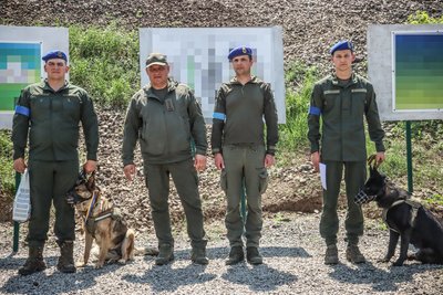 На Одещині нагородили вівчарку Кіру медаллю "За віддану службу" На Одещині нагородили вівчарку Кіру медаллю "За віддану службу"