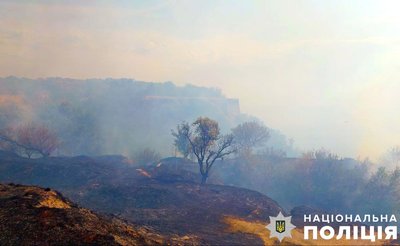 Горів заказник на Полтавщині: у Градизькій громаді загорівся сухостій на горі Пивиха Горів заказник на Полтавщині: у Градизькій громаді загорівся сухостій на горі Пивиха