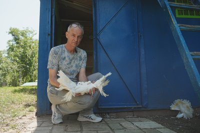 Голубник Олега Гаврішенка на Північній Салтівці Голубник Олега Гаврішенка на Північній Салтівці