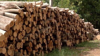 Як у негазифікованих селах на Черкащині готуються до зими Як у негазифікованих селах на Черкащині готуються до зими