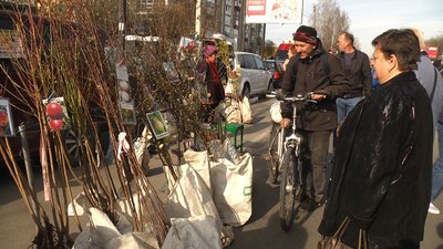 У Хмельницькому триває ярмарок "Квітуча Україна"