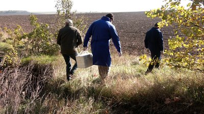 На Вінниччині проводять імунізацію диких тварин проти сказу На Вінниччині проводять імунізацію диких тварин проти сказу