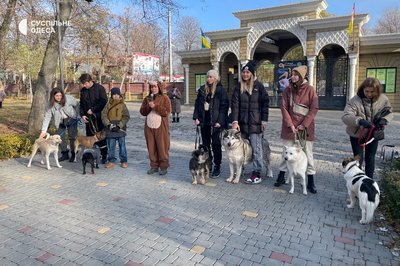 До Всесвітнього дня домашніх тварин в Одеському зоопарку шукали родини для собак До Всесвітнього дня домашніх тварин в Одеському зоопарку шукали родини для собак