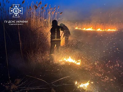 Вогонь на території 5000 м2: в Одесі горить суха трава на полях зрошення Вогонь на території 5000 м2: в Одесі горить суха трава на полях зрошення