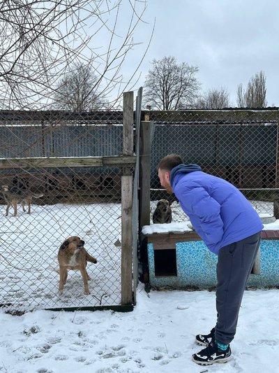 "Погуляй із хвостатим": 40 студентів з Хмельницького відвідали притулок для тварин "Погуляй із хвостатим": 40 студентів з Хмельницького відвідали притулок для тварин