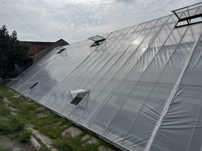 Замість знищених обстрілом: у Полтаві відновлюють пошкоджені комунальні теплиці Замість знищених обстрілом: у Полтаві відновлюють пошкоджені комунальні теплиці