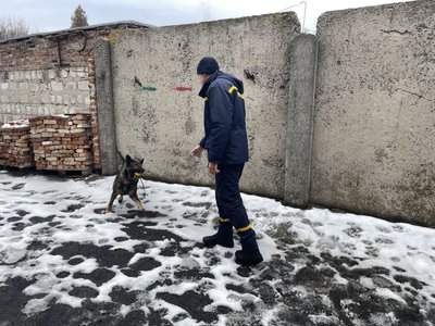 У ДСНС Полтавщини створили кінологічне відділення, де працює вівчарка Касандра