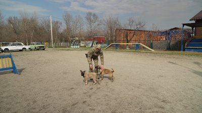 Сем, Лео, Тайфун та Хвоя: у Запоріжжі в кінологічному центрі поліції з’явилися нові чотирилапі помічники Сем, Лео, Тайфун та Хвоя: у Запоріжжі в кінологічному центрі поліції з’явилися нові чотирилапі помічники