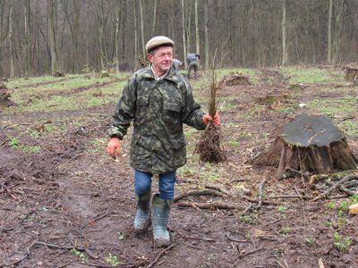 На Тернопільщині впорядкували територію НПП "Дністровський каньйон", довкілля, висадили дерева, 17 квітня 2026 року