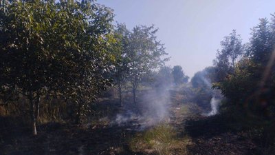 На Черкащині протягом доби 16 липня виникло три пожежі сухостою та стерні На Черкащині протягом доби 16 липня виникло три пожежі сухостою та стерні