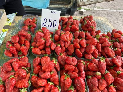 Полуниця на Житньому ринку Житомира: що пропонують продавці та скільки коштує ягода Полуниця на Житньому ринку Житомира: що пропонують продавці та скільки коштує ягода