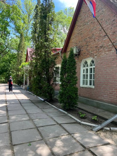 Окупанти РФ вивозять тварин з заповідника "Асканія-Нова" на Херсонщині
