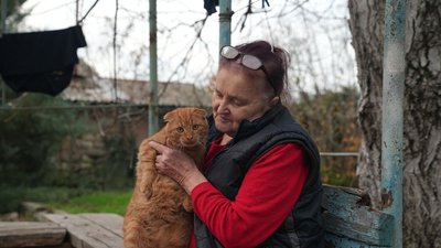 фотодобірка фотодобірка