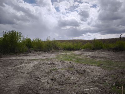 У Кострижівці на Буковині виступили проти здачі в оренду землі Лужанському спиртзаводу: чого побоюються У Кострижівці на Буковині виступили проти здачі в оренду землі Лужанському спиртзаводу: чого побоюються