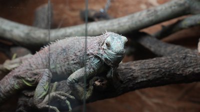 Як минув тиждень на Миколаївщині у фото Як минув тиждень на Миколаївщині у фото