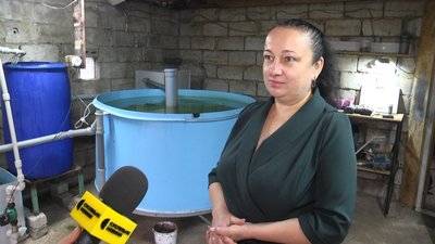 Науковці з Житомира задля експерименту вирощують осетрів